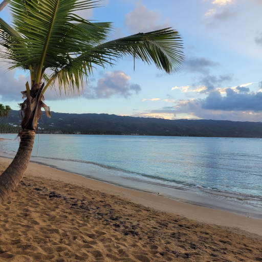 Noche Dominicana a lo Callao